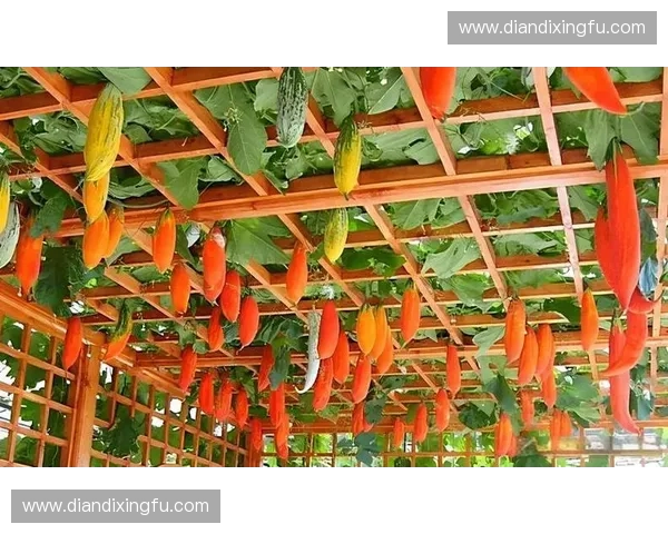 围绕放置英雄风行者打造策略养成与战斗机制深度解析全方位指南手